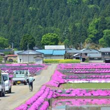 疲れが吹っ飛び！ホッ。